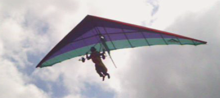 An early higher flight