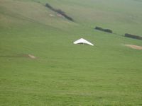 P4061201.JPG